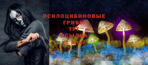 индика Алзамай
