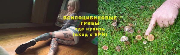 индика Алзамай